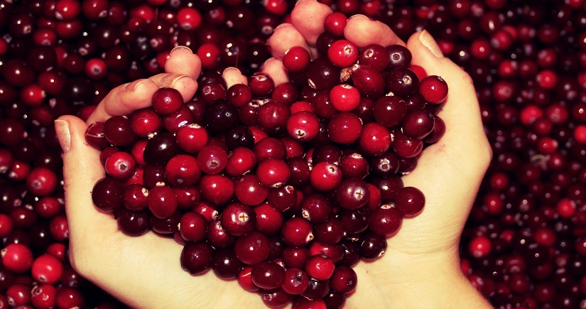 Травяной чай — природная забота о здоровье